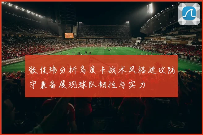 张佳玮分析乌度卡战术风格进攻防守兼备展现球队韧性与实力
